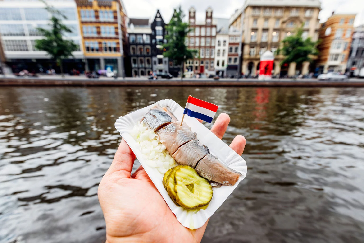 An overview of Dutch food and cuisine